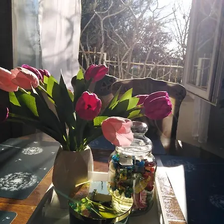 Apartman Jakov * Primosten
